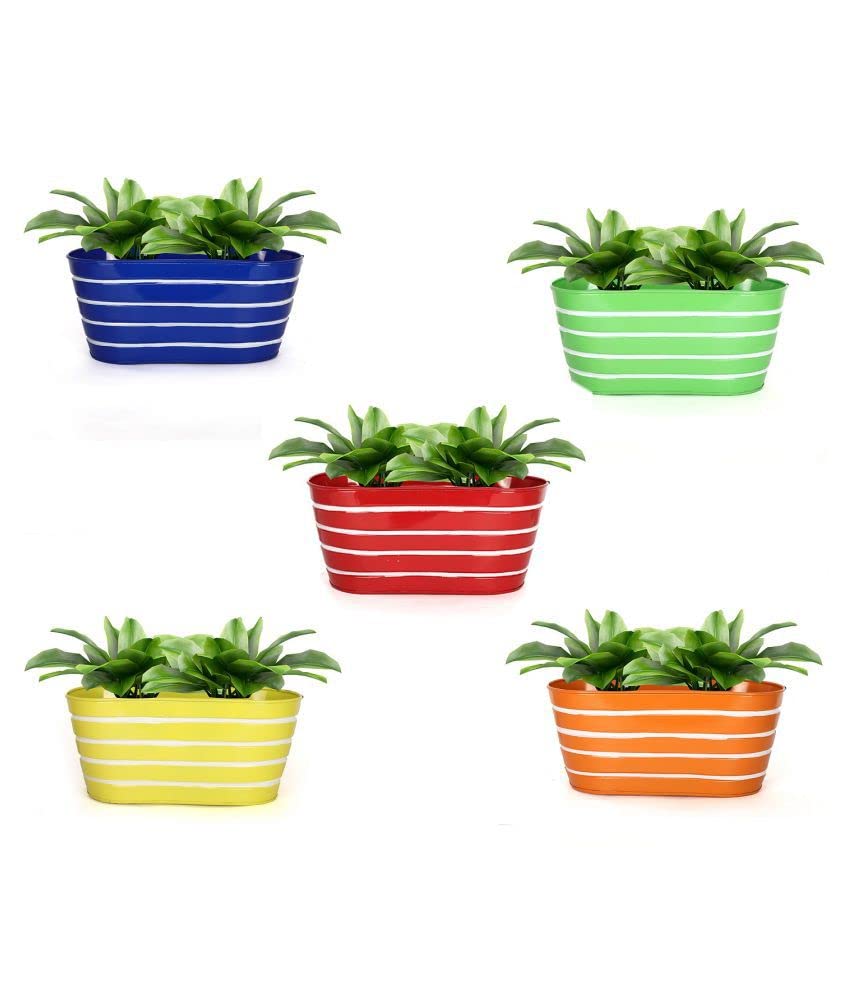 Metal Wall Hanging Flower Pots - Set of 5