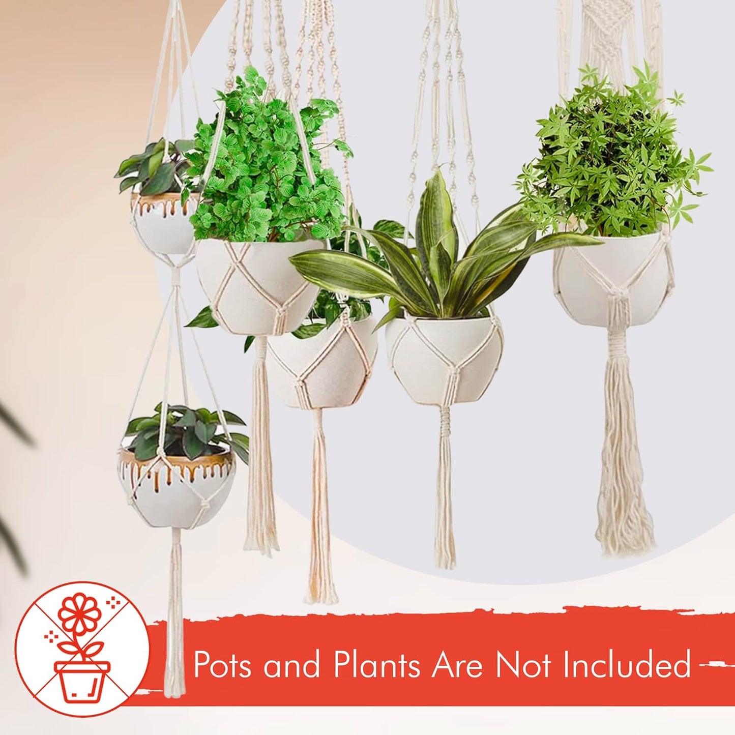 Macrame Indoor Plant Hanger Pack 6