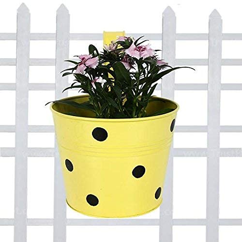 Round Shape Metal Iron Wall Hanging Flower Pots (Pack of 5 Multicolour)