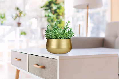 Set of 2 Gold Metal Flower Pots, Brass-Toned Indoor Planters with Drainage