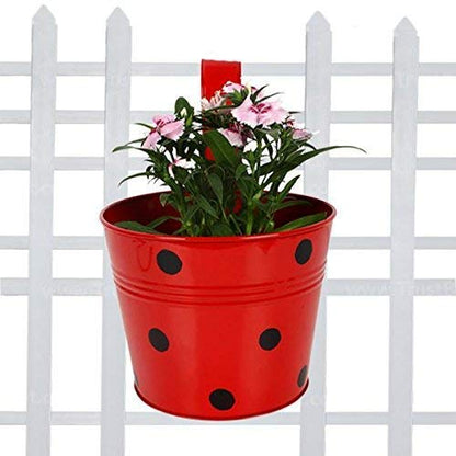 Round Shape Metal Iron Wall Hanging Flower Pots (Pack of 5 Multicolour)