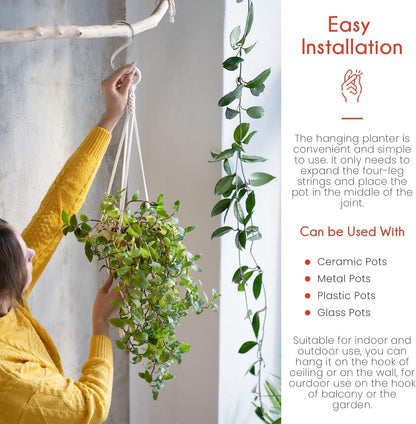 Macrame Indoor Plant Hanger Pack 6