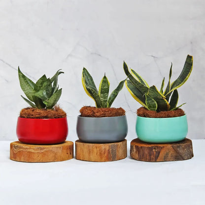 Round Shape Matte Finish Handi Style Metal Pots